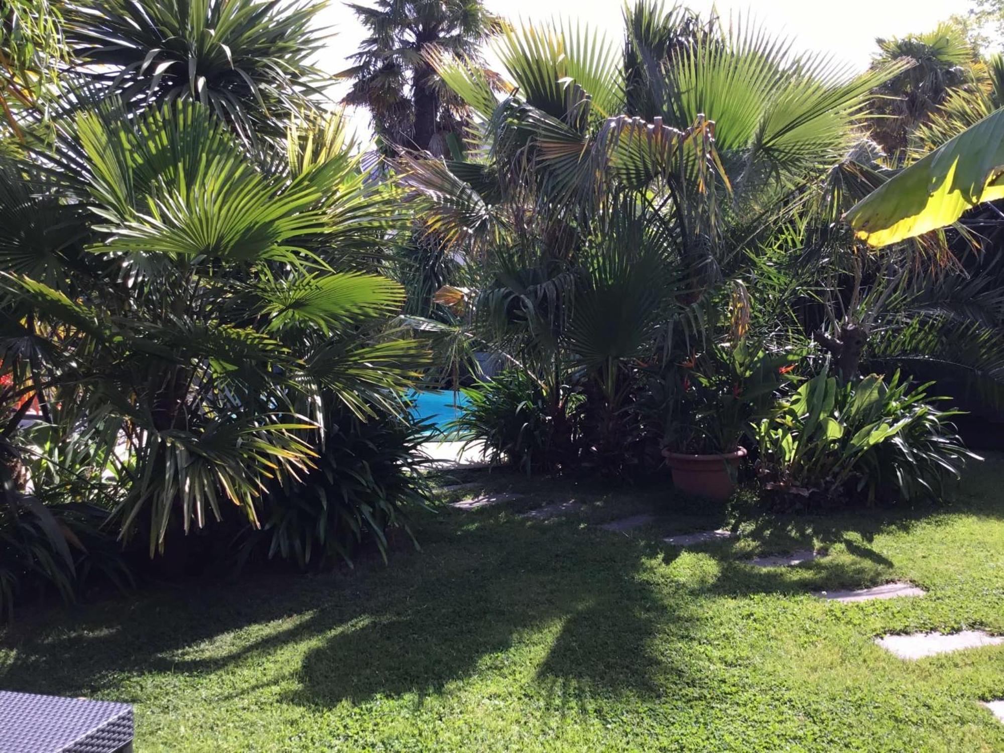 La Palmeraie Vannes Exteriör bild