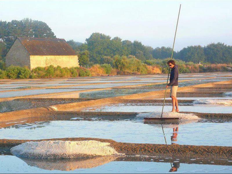 La Palmeraie Vannes Exteriör bild